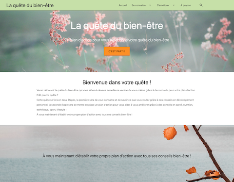projet